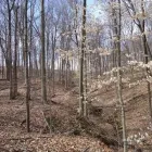 Business 1 image BACK TREE SERVICE in Cincinnati OH