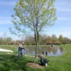 Business 3 image BACK TREE SERVICE in Cincinnati OH