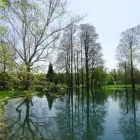 Business 10 image BACK TREE SERVICE in Cincinnati OH
