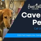 Business 1 image CAVES VALLEY PET LODGE Kennels in Owings Mills MD
