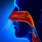 Business 2 image CHESAPEAKE EAR NOSE & THROAT Otolaryngology in Owings Mills MD