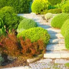 Business 1 image CINCINNATI PATIO PAVING in Cincinnati OH