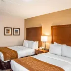 Business 10 image COMFORT INN NORTHEAST Hotel in Cincinnati OH
