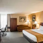 Business 13 image COMFORT INN NORTHEAST Hotel in Cincinnati OH