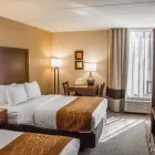Business 16 image COMFORT INN NORTHEAST Hotel in Cincinnati OH