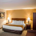 Business 18 image COMFORT INN NORTHEAST Hotel in Cincinnati OH