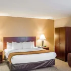 Business 19 image COMFORT INN NORTHEAST Hotel in Cincinnati OH