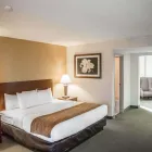 Business 26 image COMFORT INN NORTHEAST Hotel in Cincinnati OH