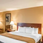 Business 27 image COMFORT INN NORTHEAST Hotel in Cincinnati OH