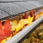 Business 3 image LAKERIDGE TREE SERVICE & LANDSCAPING Tree Service Company in Hamilton OH