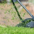 Business 4 image LAKERIDGE TREE SERVICE & LANDSCAPING Tree Service Company in Hamilton OH