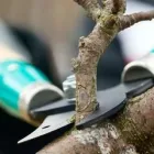 Business 13 image LAKERIDGE TREE SERVICE & LANDSCAPING Tree Service Company in Hamilton OH
