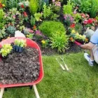 Business 1 image NATURE PLUS LAWN & IRRIGATION Landscape Contractors in Cincinnati OH