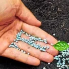 Business 5 image NATURE PLUS LAWN & IRRIGATION Landscape Contractors in Cincinnati OH