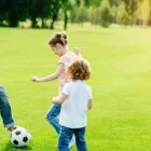 Business 6 image NATURE PLUS LAWN & IRRIGATION Landscape Contractors in Cincinnati OH