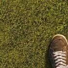 Business 7 image NATURE PLUS LAWN & IRRIGATION Landscape Contractors in Cincinnati OH