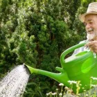 Business 20 image NATURE PLUS LAWN & IRRIGATION Landscape Contractors in Cincinnati OH