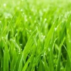 Business 26 image NATURE PLUS LAWN & IRRIGATION Landscape Contractors in Cincinnati OH