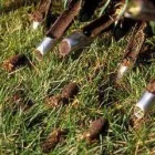 Business 39 image NATURE PLUS LAWN & IRRIGATION Landscape Contractors in Cincinnati OH
