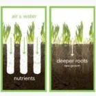 Business 40 image NATURE PLUS LAWN & IRRIGATION Landscape Contractors in Cincinnati OH
