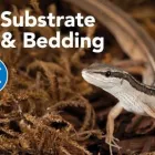 Business 3 image PETSMART Pet Adoption Service in Cincinnati OH