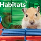 Business 6 image PETSMART Pet Adoption Service in Cincinnati OH