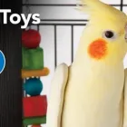 Business 10 image PETSMART Pet Adoption Service in Cincinnati OH
