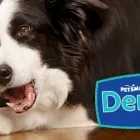 Business 13 image PETSMART Pet Adoption Service in Cincinnati OH