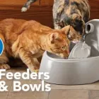 Business 10 image PETSMART PetSmart in Owings Mills MD