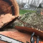 Business 2 image SPIDER TREE SERVICE, INC. Arborists & Tree Surgeons in Hamilton OH