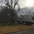 Business 7 image SPIDER TREE SERVICE, INC. Arborists & Tree Surgeons in Hamilton OH