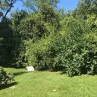 Business 15 image SPIDER TREE SERVICE, INC. Arborists & Tree Surgeons in Hamilton OH
