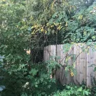 Business 17 image SPIDER TREE SERVICE, INC. Arborists & Tree Surgeons in Hamilton OH
