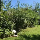 Business 20 image SPIDER TREE SERVICE, INC. Arborists & Tree Surgeons in Hamilton OH