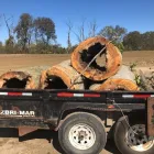 Business 21 image SPIDER TREE SERVICE, INC. Arborists & Tree Surgeons in Hamilton OH