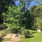 Business 22 image SPIDER TREE SERVICE, INC. Arborists & Tree Surgeons in Hamilton OH