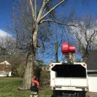 Business 31 image SPIDER TREE SERVICE, INC. Arborists & Tree Surgeons in Hamilton OH