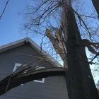 Business 33 image SPIDER TREE SERVICE, INC. Arborists & Tree Surgeons in Hamilton OH