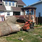 Business 34 image SPIDER TREE SERVICE, INC. Arborists & Tree Surgeons in Hamilton OH