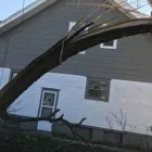 Business 36 image SPIDER TREE SERVICE, INC. Arborists & Tree Surgeons in Hamilton OH