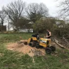 Business 41 image SPIDER TREE SERVICE, INC. Arborists & Tree Surgeons in Hamilton OH