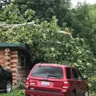 Business 44 image SPIDER TREE SERVICE, INC. Arborists & Tree Surgeons in Hamilton OH