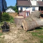 Business 45 image SPIDER TREE SERVICE, INC. Arborists & Tree Surgeons in Hamilton OH