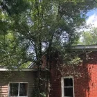 Business 47 image SPIDER TREE SERVICE, INC. Arborists & Tree Surgeons in Hamilton OH
