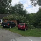 Business 51 image SPIDER TREE SERVICE, INC. Arborists & Tree Surgeons in Hamilton OH