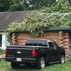 Business 52 image SPIDER TREE SERVICE, INC. Arborists & Tree Surgeons in Hamilton OH