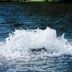 Business 1 image THE POWER HOUSE INC. Waterfowl Hunting in Owings Mills MD