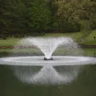 Business 4 image THE POWER HOUSE INC. Waterfowl Hunting in Owings Mills MD