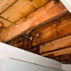 Business 2 image THOMPSON RESTORATION Fire & Water Damage Restoration in Fort Thomas KY