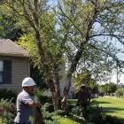 Business 12 image USA SOLUTION Paint Stripping Services in Cincinnati OH